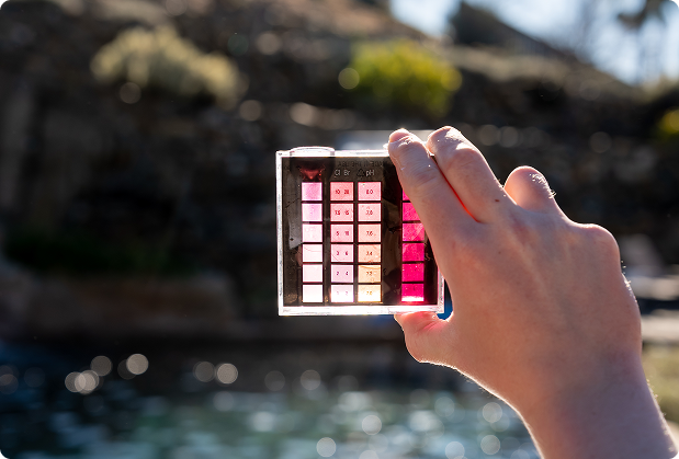 What This Means For You